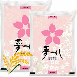 【先行予約】【令和7年産】夢つくし 白米 計10kg [BGAA086] 白米