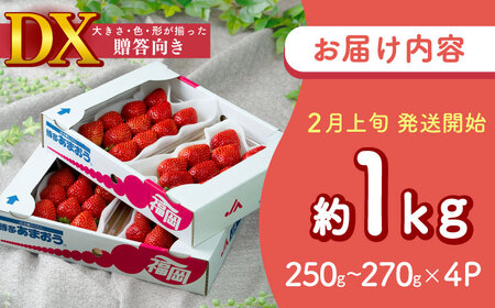 【2026年2月上旬より順次発送】春あまおう DX 4P[BGAG019] 苺 イチゴ あまおう くだもの 果物 フルーツ