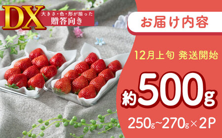 【2025年12月上旬より順次発送】冬あまおうDX 2P[BGAG020] 苺 イチゴ あまおう くだもの 果物