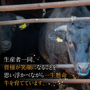 【A4?A5】博多和牛 イチボ 焼肉 450g 希少部位 [BGAA034] イチボ