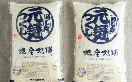 【令和7年産】果物屋さんが選んだ米 元気つくし 10kg [BGAG025]げんきつくし 26,250円