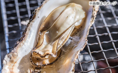 【2026年1月中旬より順次発送】 豊前海 一粒かき 約3kg[BGBD002]牡蠣