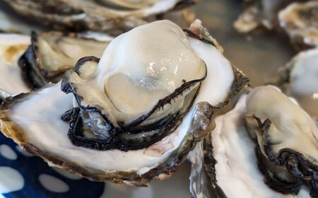 【2026年1月中旬より順次発送】 豊前海 一粒かき 約5kg[BGBD003]牡蠣