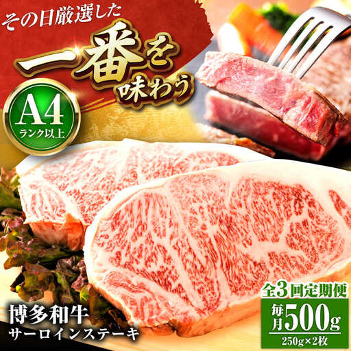 【全3回定期便】【A4-A5】博多和牛 サーロインステーキ 500g(250g×2枚) [BGAB112]