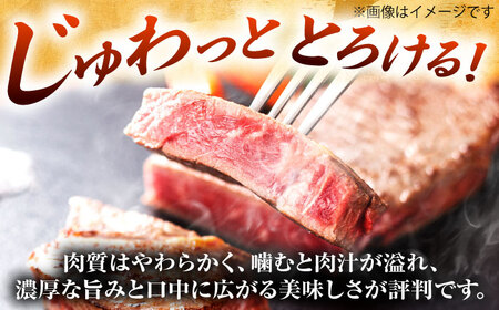 【全6回定期便】【A4-A5】博多和牛 サーロインステーキ 1kg(250g×4枚) [BGAB119]