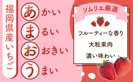 【全2回定期便】福岡産 春あまおう 6P[BGAG052]あまおう