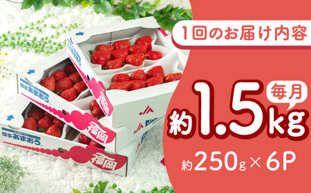 【全2回定期便】福岡産 春あまおう 6P[BGAG052]あまおう