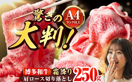 【A4-A5】博多和牛 大判霜降り 贅沢切り落とし 250g [BGAB108]