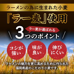 福岡県産ラー麦使用 コク旨味噌ラーメン 10食 PC2305