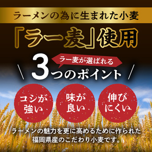 ラー麦（福岡県産小麦）使用の 冷やし担々麺 3食　PC5906