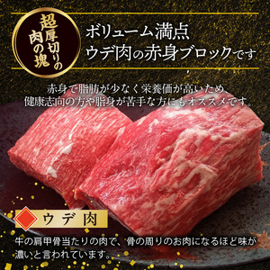 博多和牛 赤身ブロック 1ポンド（約450g） _KY4606