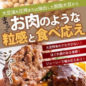 大豆ミートで作った美味しいデミグラスソースハンバーグ 150g×5個　KP8306