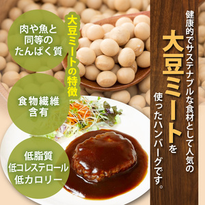 大豆ミートで作った美味しいデミグラスソースハンバーグ 150g×5個　KP8306