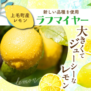 【ナチュラルファーム菓樹】レモンケーキ 10個（5個入×2箱）～上毛町産レモン使用～  _NK1106