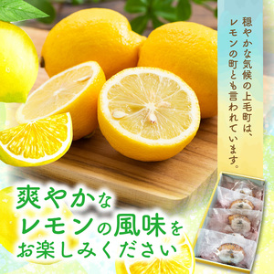 【ナチュラルファーム菓樹】レモンケーキ 10個（5個入×2箱）～上毛町産レモン使用～  _NK1106