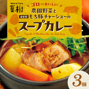 【ナチュラルファーム菓樹】農園野菜と自家製もち豚チャーシューのスープカレー 3個セット _NK0206