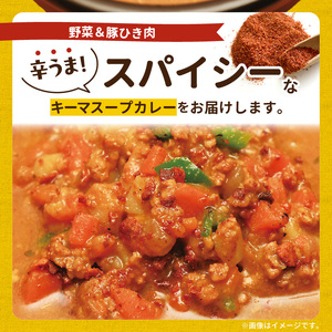 【ナチュラルファーム菓樹】キーマスープカレー 3個セット _NK0706