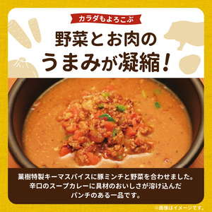 【ナチュラルファーム菓樹】キーマスープカレー 3個セット _NK0706