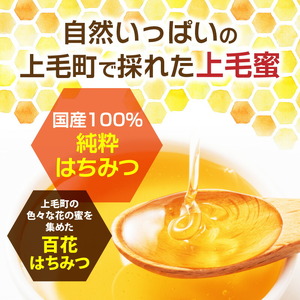 国産はちみつ（上毛町産）600g×2本 _T07706