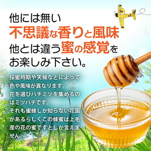 国産はちみつ（上毛町産）600g×2本 _T07706