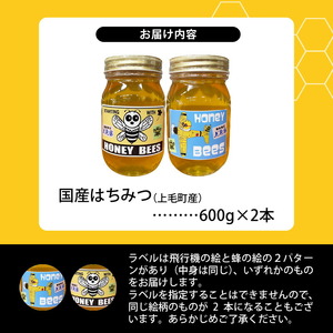 国産はちみつ（上毛町産）600g×2本 _T07706