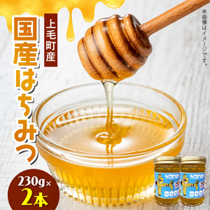 国産はちみつ（上毛町産）230g×2本 _T07906