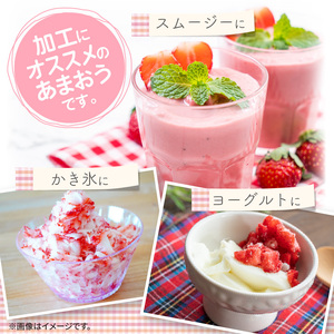 【福岡県産】 急速冷凍いちご あまおう(1kg) _R00106