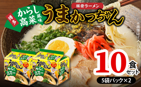 豚骨ラーメン うまかっちゃん 博多からし高菜風味 10食セット（5袋パック×2セット） _PC8606