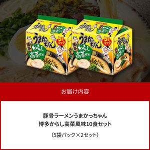 豚骨ラーメン うまかっちゃん 博多からし高菜風味 10食セット（5袋パック×2セット） _PC8606
