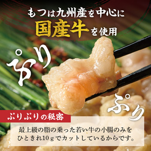 【定期便】博多もつ鍋おおやま　もつ鍋しょうゆ味2人前　3回（毎月）コース _06T-014