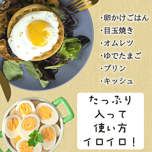 けいちゃんたまご　赤　Mサイズ　40個_C01207