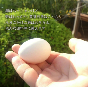 けいちゃんたまご　白　Sサイズ　100個_C00207