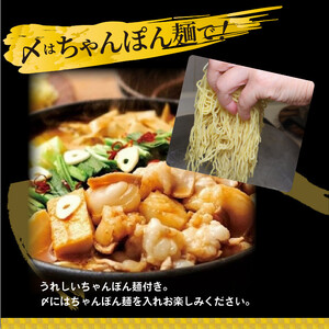 やまや　博多もつ鍋　こく味噌味（3～4人前）_TY1001