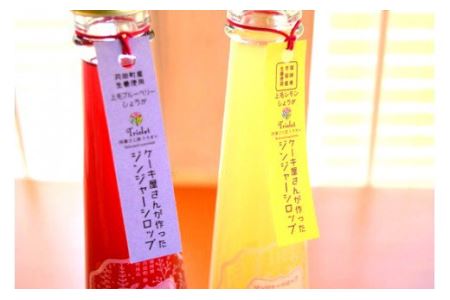 【上毛町産ブルーベリー＆レモン使用】ジンジャーシロップ 2本セット_KT0302