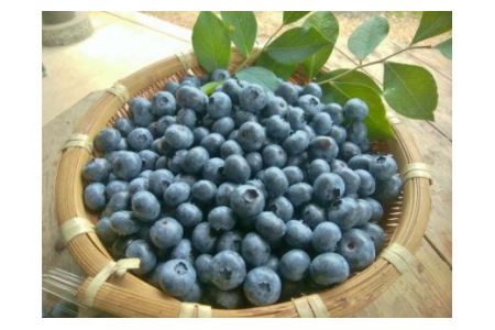 【上毛町産ブルーベリー＆レモン使用】ジンジャーシロップ 2本セット_KT0302