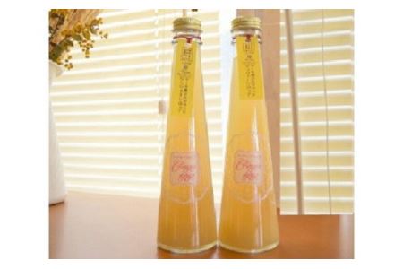 【上毛町産レモン使用】ジンジャーシロップ 2本セット_KT0402