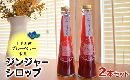 【上毛町産ブルーベリー使用】ジンジャーシロップ 2本セット KT0502