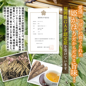 「姫かおり」 焙煎 ごぼう茶 500ml × 24本_K04003