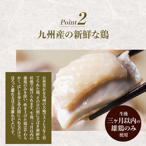 新三浦　博多水炊き　2人前_KNS1703