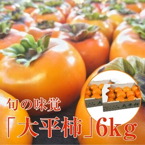 旬の味覚「大平柿」6kg 　T03401