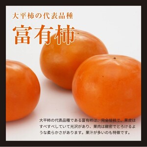 旬の味覚「大平柿」6kg 　T03401