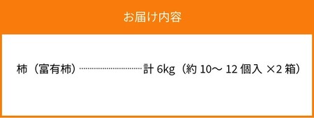 旬の味覚「大平柿」6kg 　T03401