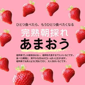 【ふるさと納税】採れたて 出荷 完熟朝採れ いちご あまおう(1月から順次発送) 270g × 4パック 約 1080g ブランドいちご 人気 真っ赤 完熟 爽やか 甘み みずみずしい 果物 フルーツ デザート お取り寄せグルメ 冷蔵 らんらんふぁーむ 福岡県 上毛町産 送料無料_R00202