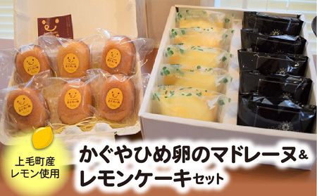 かぐやひめ卵のマドレーヌ＆レモンケーキセット_KT0102