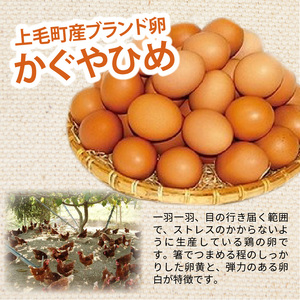 かぐやひめ卵のマドレーヌ＆レモンケーキセット_KT0102