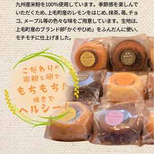 米粉の焼きドーナツ12個セット_KT0902