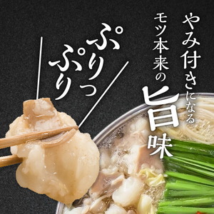 博多もつ鍋前田屋　もつ鍋セット　しょうゆ味2～3人前_KLM0204