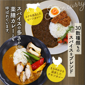 カレーハウスあんくるのビーフ＆チキン　冷凍カレーセット（200g×10袋）T05704