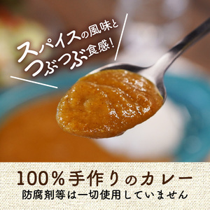 カレーハウスあんくるのビーフ＆チキン　冷凍カレーセット（200g×10袋）T05704