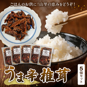 山里の恵み！うま辛椎茸５個セット_T05804